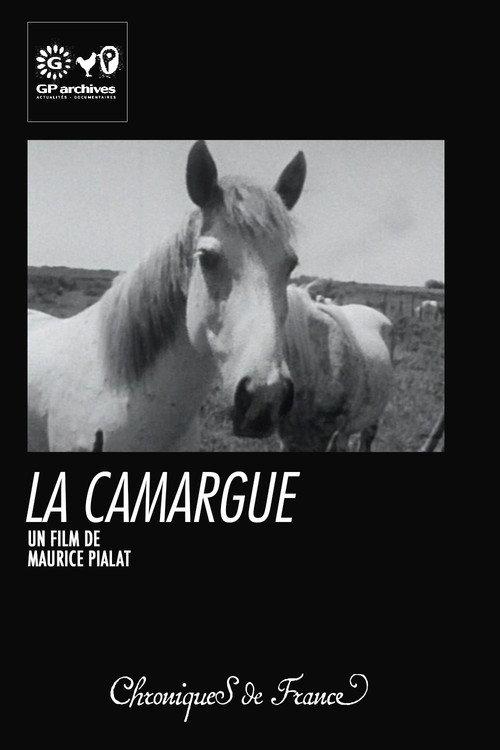 La Camargue backdrop
