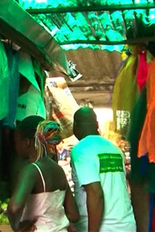 NGO (Beninese Solidarity with Endangered Westerners) backdrop