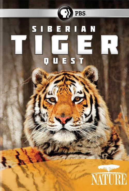 Siberian Tiger Quest backdrop
