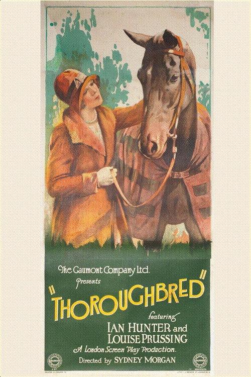 The Thoroughbred backdrop