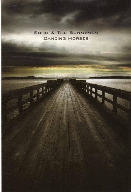 Echo & the Bunnymen: Dancing Horses backdrop