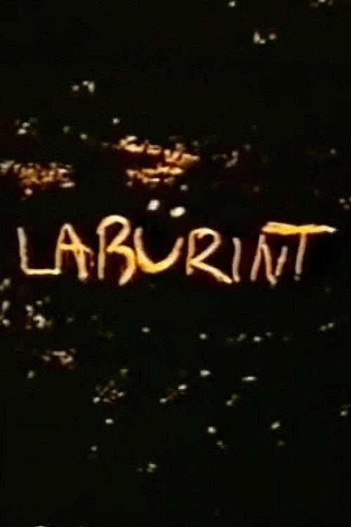 Labyrinth backdrop