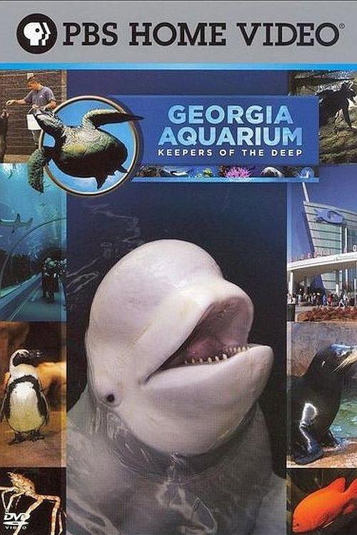 Georgia Aquarium - Keepers of the Deep backdrop