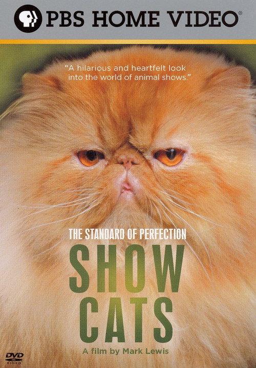 The Standard of Perfection: Show Cats backdrop