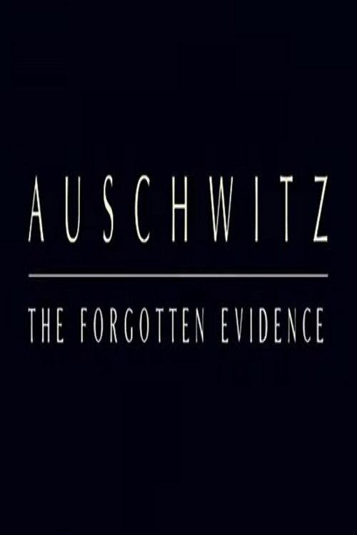 Auschwitz: The Forgotten Evidence backdrop