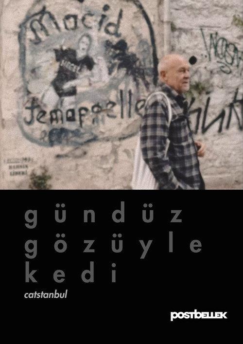 Catstanbul backdrop