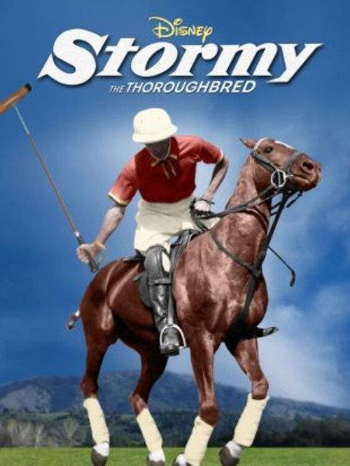 Stormy, the Thoroughbred backdrop
