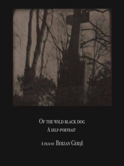 Of The Wild Black Dog backdrop