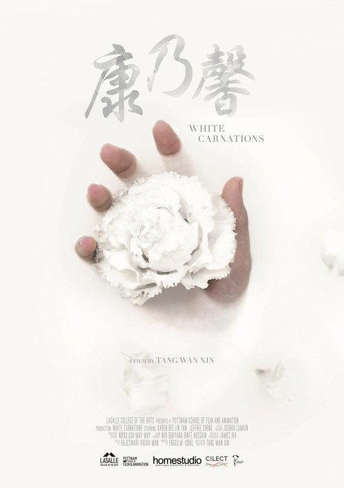 White Carnations backdrop