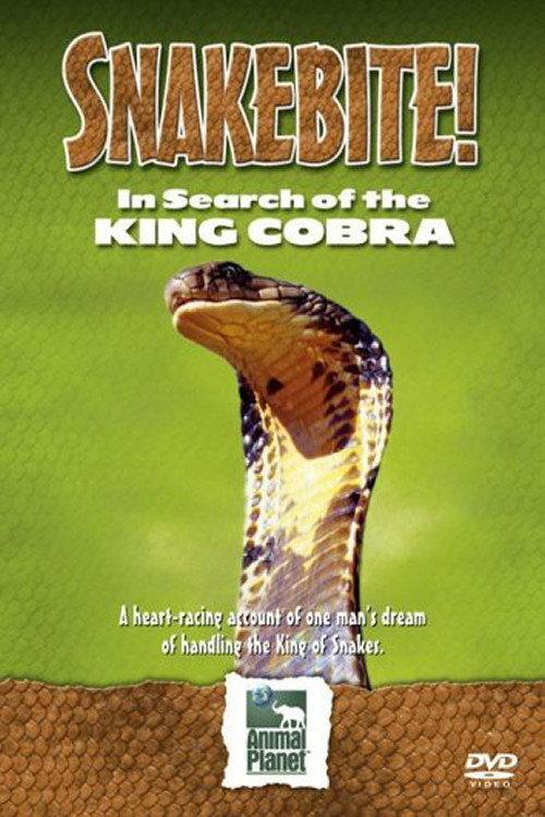 Snake Bite: In Search of the King Cobra backdrop