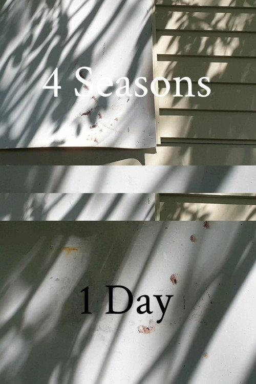 4 Seasons 1 Day backdrop