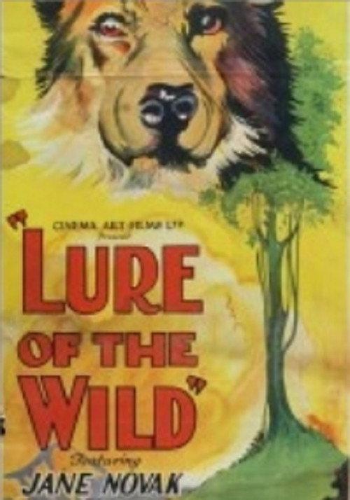 The Lure of the Wild backdrop