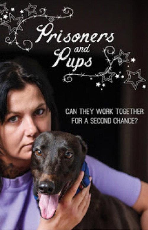 Prisoners and Pups backdrop