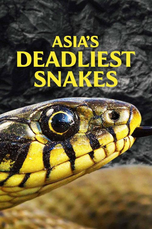Asia's Deadliest Snakes backdrop