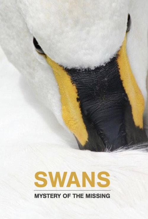 Swans: Mystery of the Missing backdrop