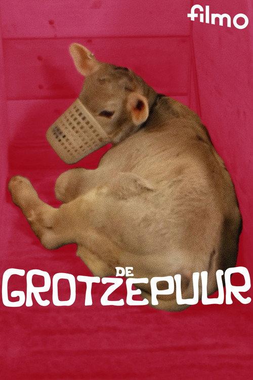 De grotzepuur backdrop