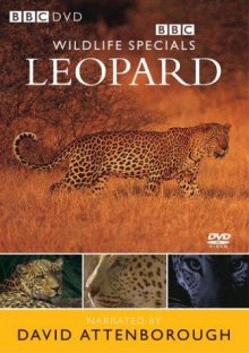 Leopard: The Agent of Darkness backdrop