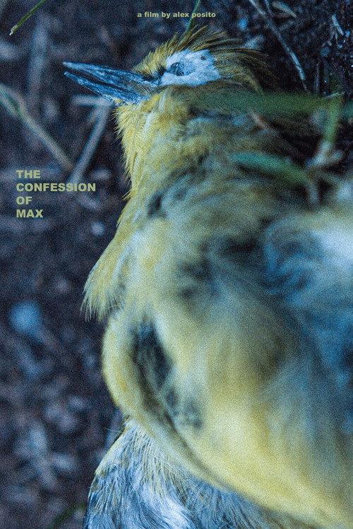 The Confession of Max backdrop