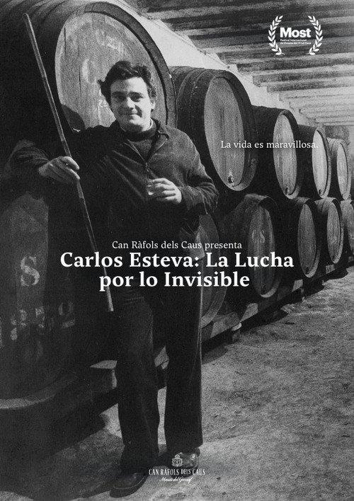 Carlos Esteva: the fight for the invisible backdrop