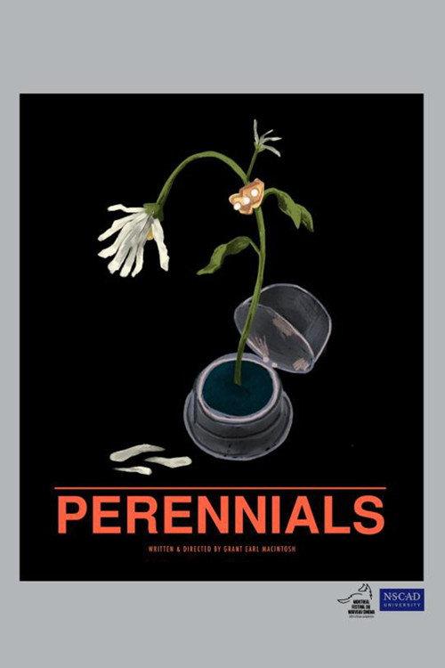 Perennials backdrop