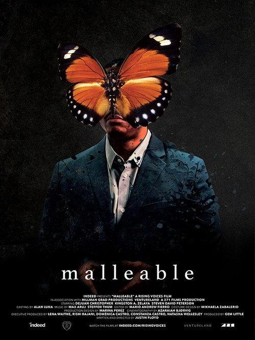Malleable backdrop