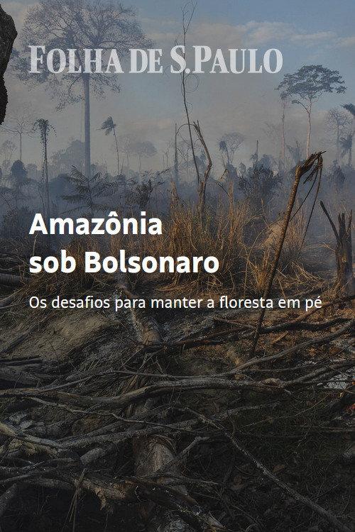 Amazon Under Bolsonaro backdrop