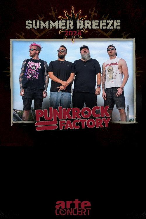 Punk Rock Factory - Summer Breeze 2024 backdrop