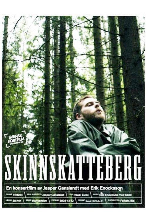 Skinnskatteberg backdrop
