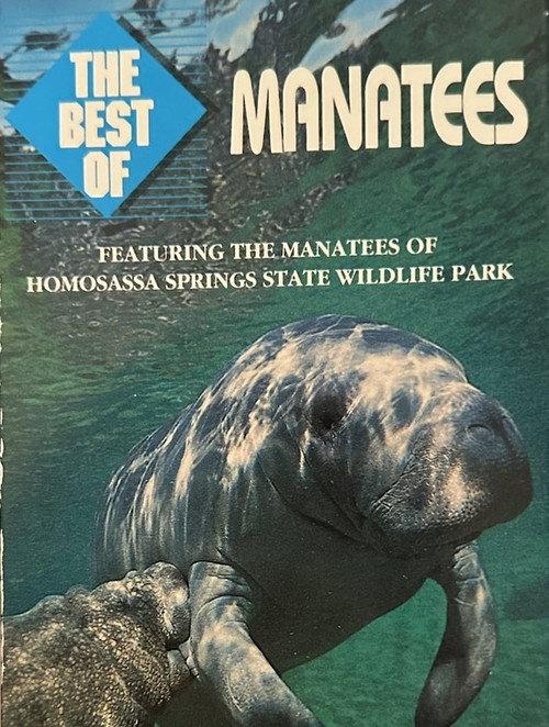 Manatees backdrop