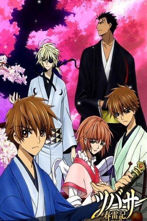 Tsubasa Chronicle: Shunraiki backdrop