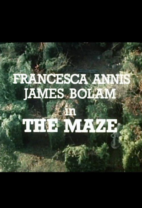The Maze backdrop