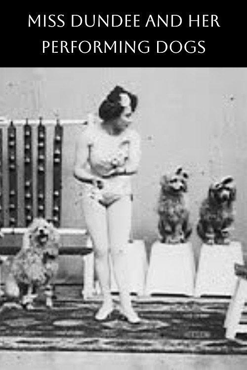 Miss Dundee and Her Performing Dogs backdrop