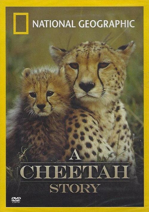 Cheetah Story backdrop