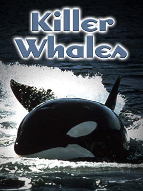 Killer Whales: Up Close and Personal backdrop