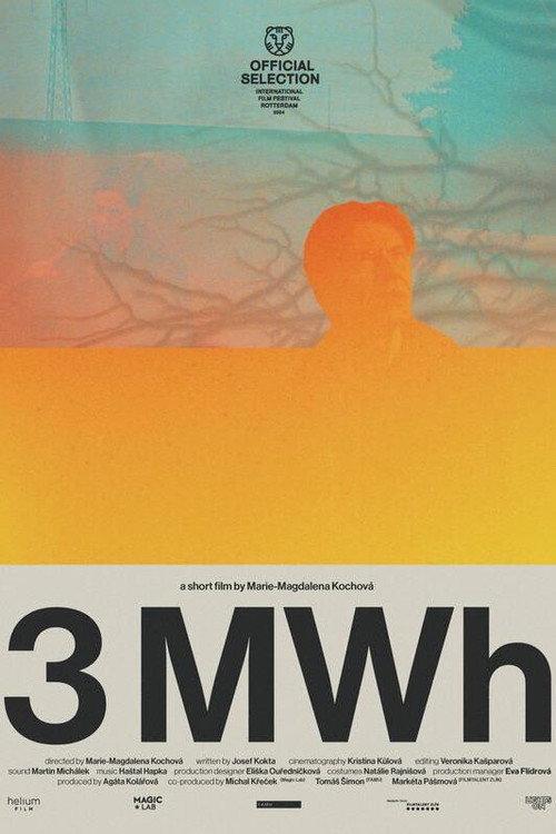 3 MWh backdrop