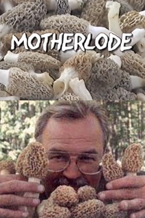 Motherlode backdrop
