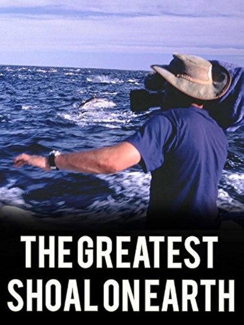 Greatest Shoal on Earth backdrop