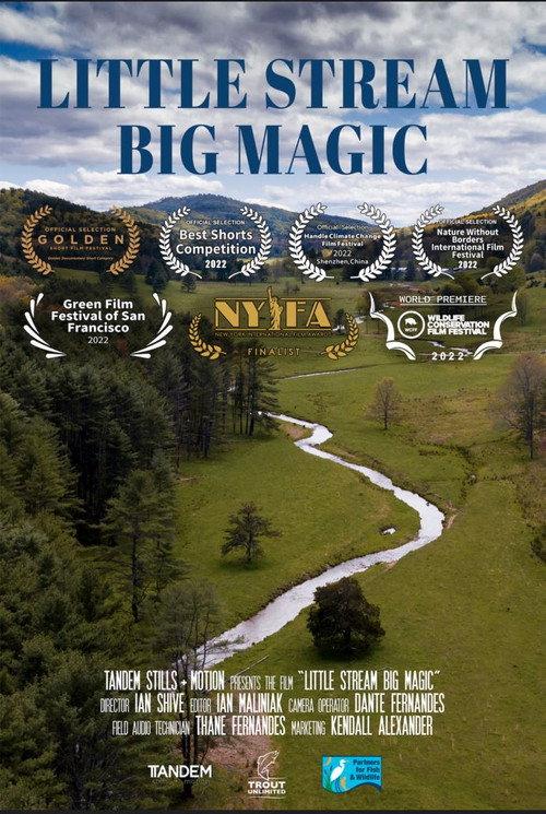 Little Stream, Big Magic backdrop