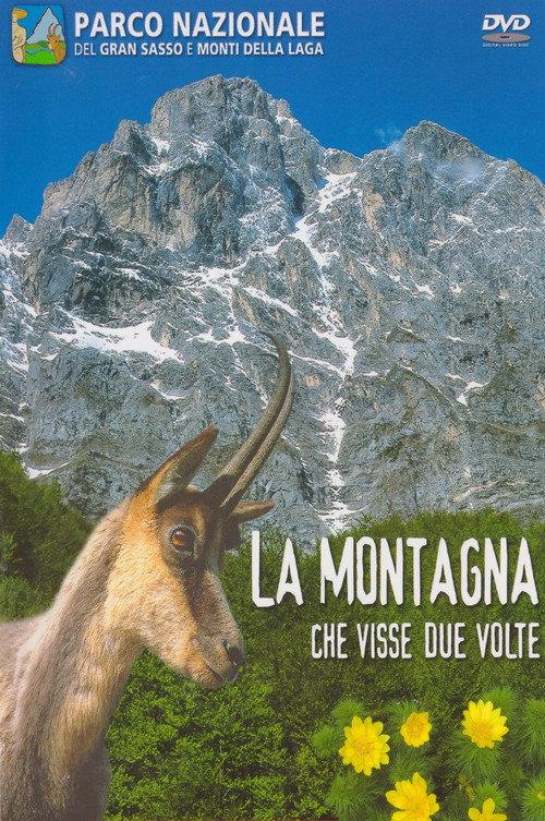 The mountain That Lived Twice backdrop