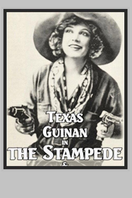 The Stampede backdrop