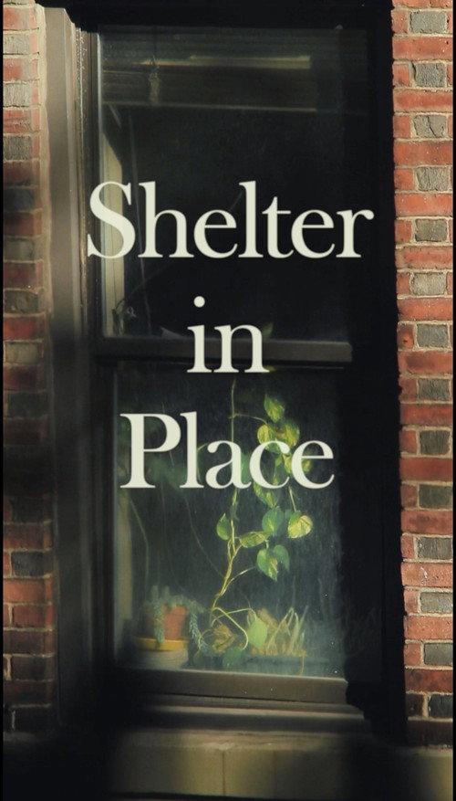 Shelter in Place backdrop