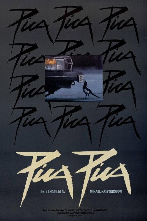 Pica Pica backdrop