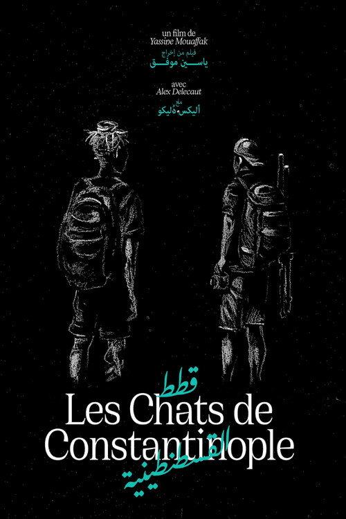 Les Chats de Constantinople backdrop