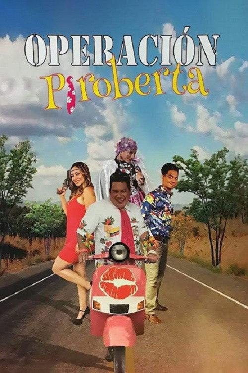 Operation Piroberta backdrop