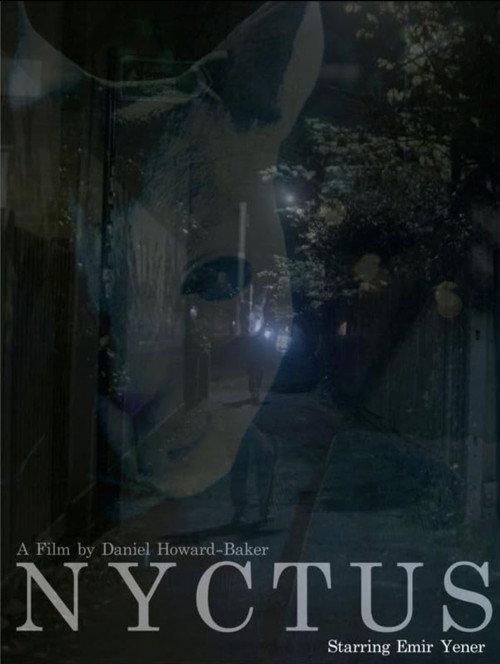 Nyctus backdrop