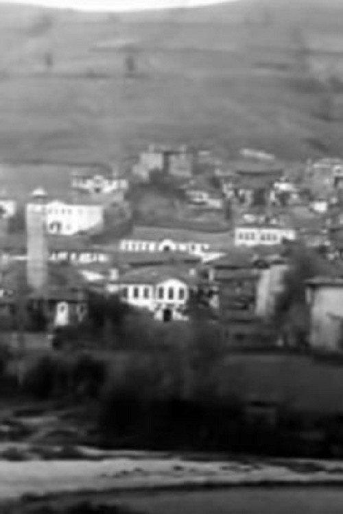Panorama of the City of Grevena backdrop