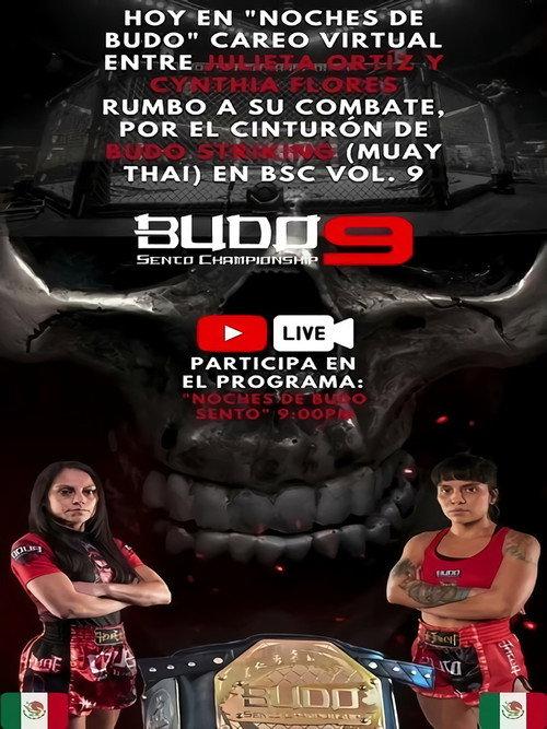 Budo Sento Championship 9 backdrop