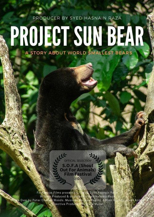 Project Sun Bear backdrop