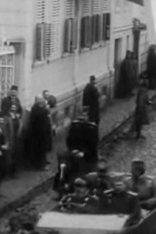 The Reception of the Greek King and the Heir Pavle Made by General Bojovic in Bitola backdrop
