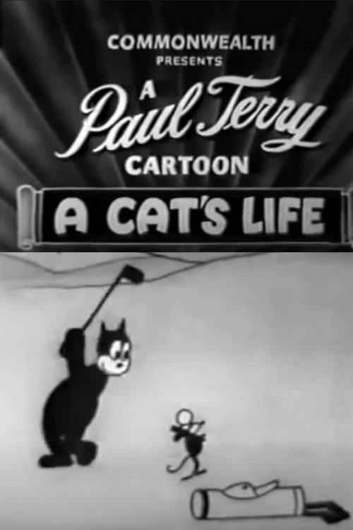 A Cat's Life backdrop